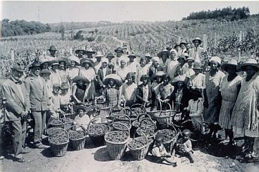 Emigrati italiani in Brasile