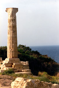 Centro del Mediterraneo: Santuario di Hera Lacinia a Capo Colonna, Crotone, Calabria, Italia - Fotografia: Francesco Saverio ALESSIO  1986 Copyright 