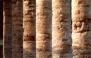 Centro del Mediterraneo: Il tempio di Segesta,  Belice, Sicilia, Italia  Fotografia: Francesco Saverio ALESSIO © copyright 1986