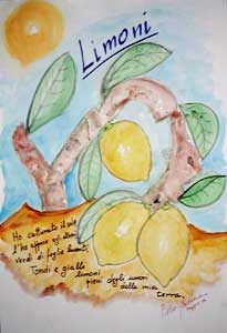 Limoni - Pietro BARBERA